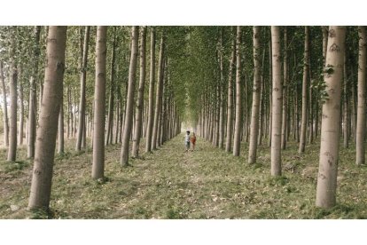 Fotograma de ‘Secaderos’, de Rocío Mesa, filme que estrena hoy el Musac en León. DL