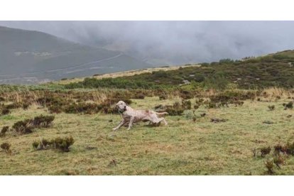 Foto del censo realizado para preparar la prueba de San Isidro. CEM