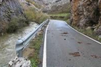 Los restos de ramas en la carretera dejan patente las zonas que fueron cubiertas por las aguas