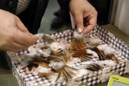 Algunas de las plumas de la Feria. MARCIANO PÉREZ