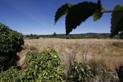 Terrenos donde se instalará el nuevo centro comercial, en La Granja. RAMIRO