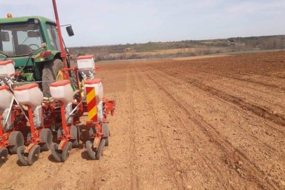 Esta situación también afectará a las tierras de cultivo y cultivos permanentes, fundamentalmente secanos. dl