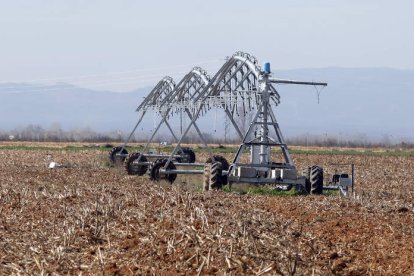 Un finca de regadío en un paraje de León. MARCIANO PÉREZ