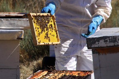 Una emplada comprueba la calidad del producto. PEIO GARCÍA