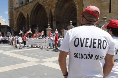 Los trabajadores de Ovejero llegaron a la Catedral desde la sede de los laboratorios. RAMIRO