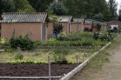 Huertos de la Candamia, la fórmula que importa ahora San Andrés del Rabanedo. RAMIRO