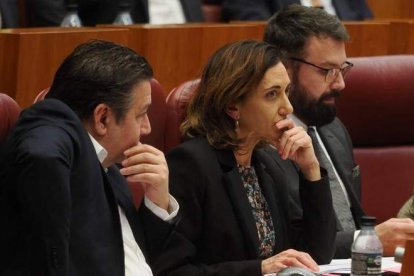 Los procuradores de UPL Luis Mariano Santos, Alicia Gallego y José Ramón García. DL