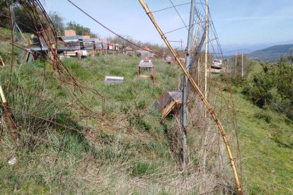 El oso rompió las vallas y dañó 30 colmenas en tres ataques en Espinoso de Compludo. DL