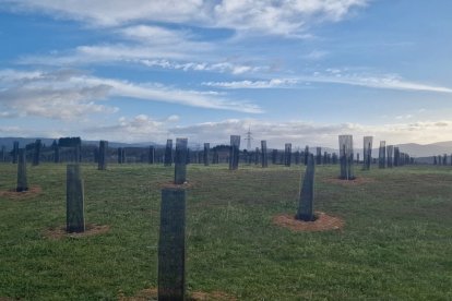 El nuevo espacio verde de Camponaraya se ha creado en un antiguo vertedero. DL