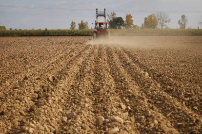 Los agricultores tienen que seguir cumplimentando el cuaderno tradicional. JESÚS F. SALVADORES