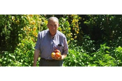 José Luis Castaño del Riego, en la huerta de la casa rectoral de Fresno de la Vega, con los primeros pimientos morrones de la cosecha. GAITERO