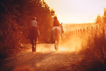 Rutas a caballo en León: descubre los mejores lugares para rutas ecuestres FOTO: Pexels