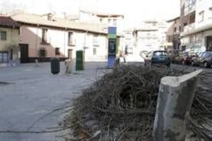 Los plátanos ya han sido talados en el entorno de la plaza de Riaño