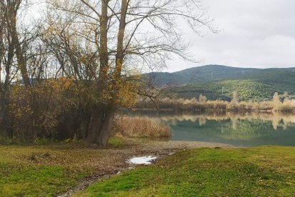 El sábado 18 de marzo los voluntarios limpiarán el lago. ANA F. BARREDO