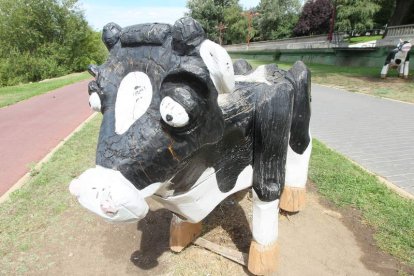 Las ‘vacas’ del río, a la altura del paseo de la Condesa, ayer.