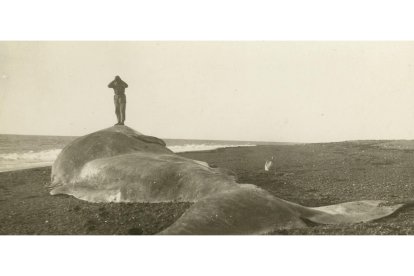 Ramiro Gago emigró en 1913 desde Bembibre a Tierra del Fuego junto a su hijo de 13 años Leopoldo, agobiados por la bancarrota familiar. Durante 18 años vivieron en la ciudad más austral del mundo después de reunir allí al resto de la familia. Y en 1931 regresaron a Bembibre, donde abrieron el Cine Gago. Estos son las imágenes que Leopoldo tomó y se trajo desde el fin del mundo. 