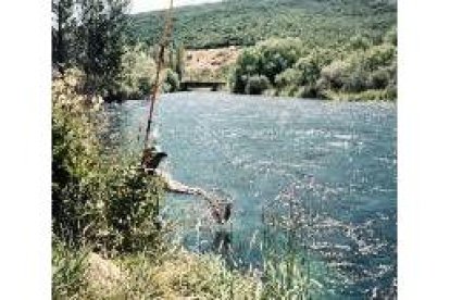 No todo es lejía. El furtivo de caña también hace daño en el río