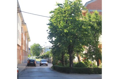 Calle Camino del Francés en el barrio de Cuatrovientos. ANA F. BARREDO