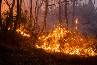 Imagen de archivo de un incendio en la provincia. FERNANDO OTERO PERANDONES.