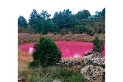 Las aguas teñidas de rosa en la laguna de Las Tortugas (Cuenca). DL