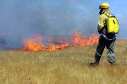 Uno de los brigadas intenta sofocar las llamas del incendio de Carrizo