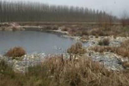 Estado actual de una de las lagunas situadas en el término municipal de Palanquinos