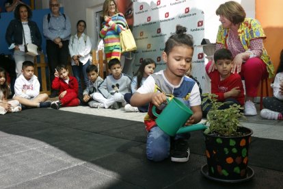 Los escolares aprenden habilidades nuevas. FERNANDO OTERO