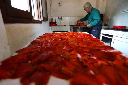 Una familia de la localidad de Campo (Ponferrada) asa pimientos para consumo propio y protagoniza una de tantas escenas que estos días se repiten en los hogares bercianos, principalmente del Bierzo Central y Bajo. Asar y pelar pimientos forma parte del ac