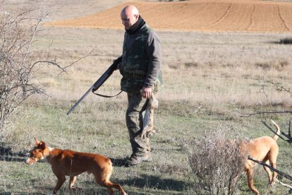 Un cazador leonés en la primera jornada de la temporada junto a sus dos perros. RAMIRO