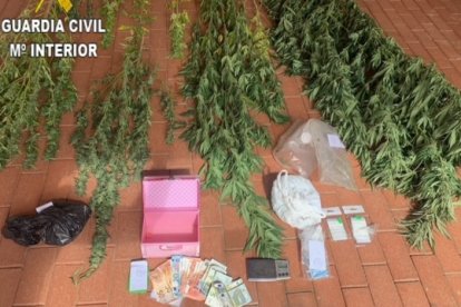 Se han decomisado cerca de 135 gramos de marihuana, una báscula de precisión para su pesaje y dinero en efectivo. GUARDIA CIVIL