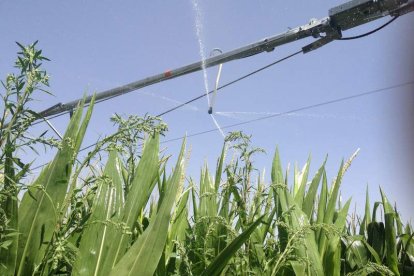 Un pívot en funcionamiento en una finca de la ribera del río Cea