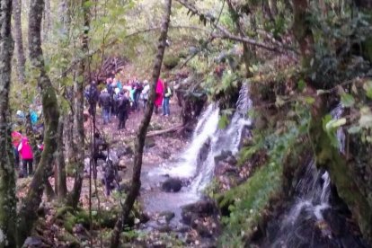 Participantes en la ruta por el hayedo y momento de inauguración de la ‘Mesa más bonita’. DL