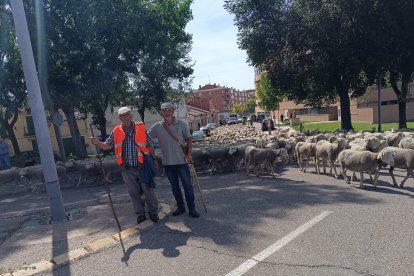 El ganadero José Manuel Sánchez, a la derecha, con su padre, y el rebaño a su paso por Medina del Campo. DL