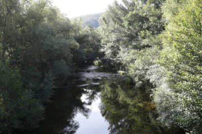 El río Omaña a su paso por el municipio de Riello deja rincones tan mágicos como la zona de baño en La Omañuela. Sobre estas líneas, el castillo de Benal que está pendiente de una subvención para poder iniciar su restauración. A la izquierda, la iglesia de Riello y abajo, una de las visitas obligadas, la ermita de Pandorado.