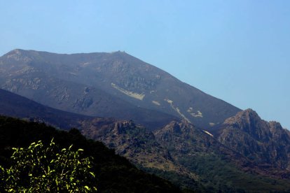 Terreno que resultó afectado por el fuego del mes de julio, en una fotografía de archivo. ANA F. BARREDO