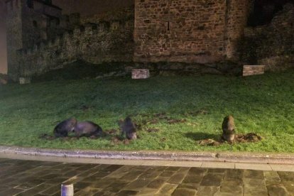 Los cuatro jabalíes ante el castillo, de noche. RITA DICA / REDES SOCIALES