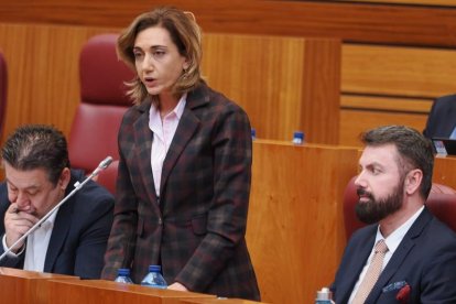 La procuradora Alicia Gallego, junto a Luis Mariano Santos, en el Pleno de las Cortes. ICAL