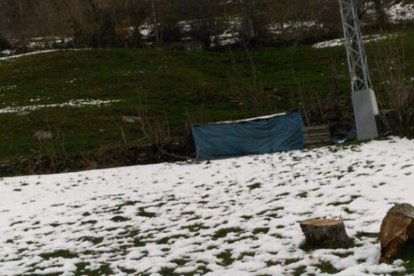 El oso ha dormido en el refugio de tablas, a salvo de la nieve. DL