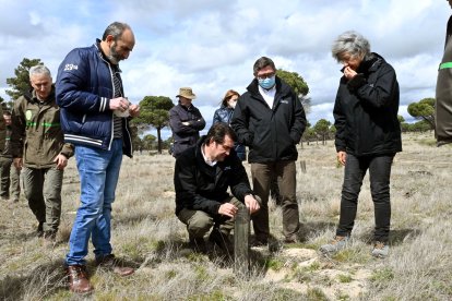 Suárez-Quiñones ha visitado los trabajos de restauración de los terrenos quemados entre las localidades segovianas Nieva y Nava de la Asunción. JCYL