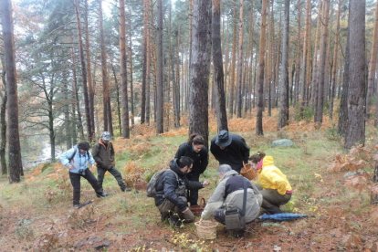 Varias personas buscan setas durante una jornada en la montaña. ROBERTO  ORDÓÑEZ