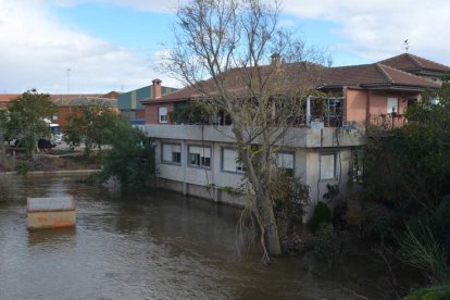 Imagen de ayer por la tarde del área deportiva de Cebrones del Río inundada por el río Órbigo. MEDINA