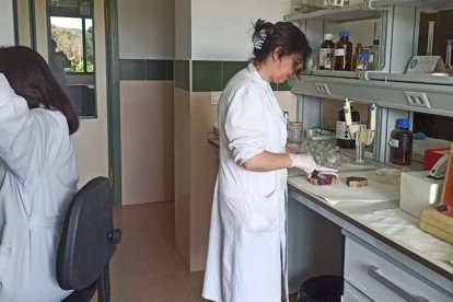 Pruebas de laboratorio de las piezas de la IGP Cecina de León. DL