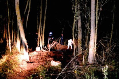 La Policía Científica, trabajando en el lugar donde apareció el cadáver. DL