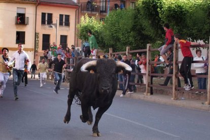 Los encierros son ya una tradición en las fiestas de Sahagún. ACACIO