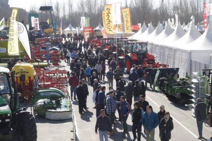 Imagen de la Feria de Febrero de Valencia de Don Juan del pasado año. RAMIRO