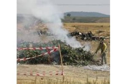 Destrucción de frutales con fuego bacteriano en Valdefresno