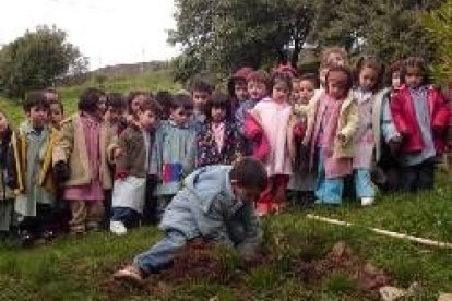 Los pequeños observaban atentos a un compañero plantando el árbol