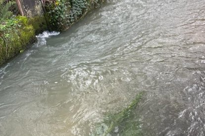 Imagen del río Valcarce, gris, a la altura de Ruitelán. DL