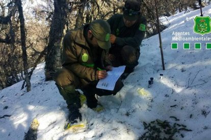 Agentes medioambientales recogiendo muestras para la elaboración del censo. DL