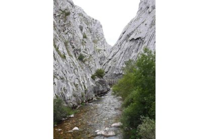 Vista de las Hoces de Vegacervera, un tajo labrado pacientemente por el río Torío.